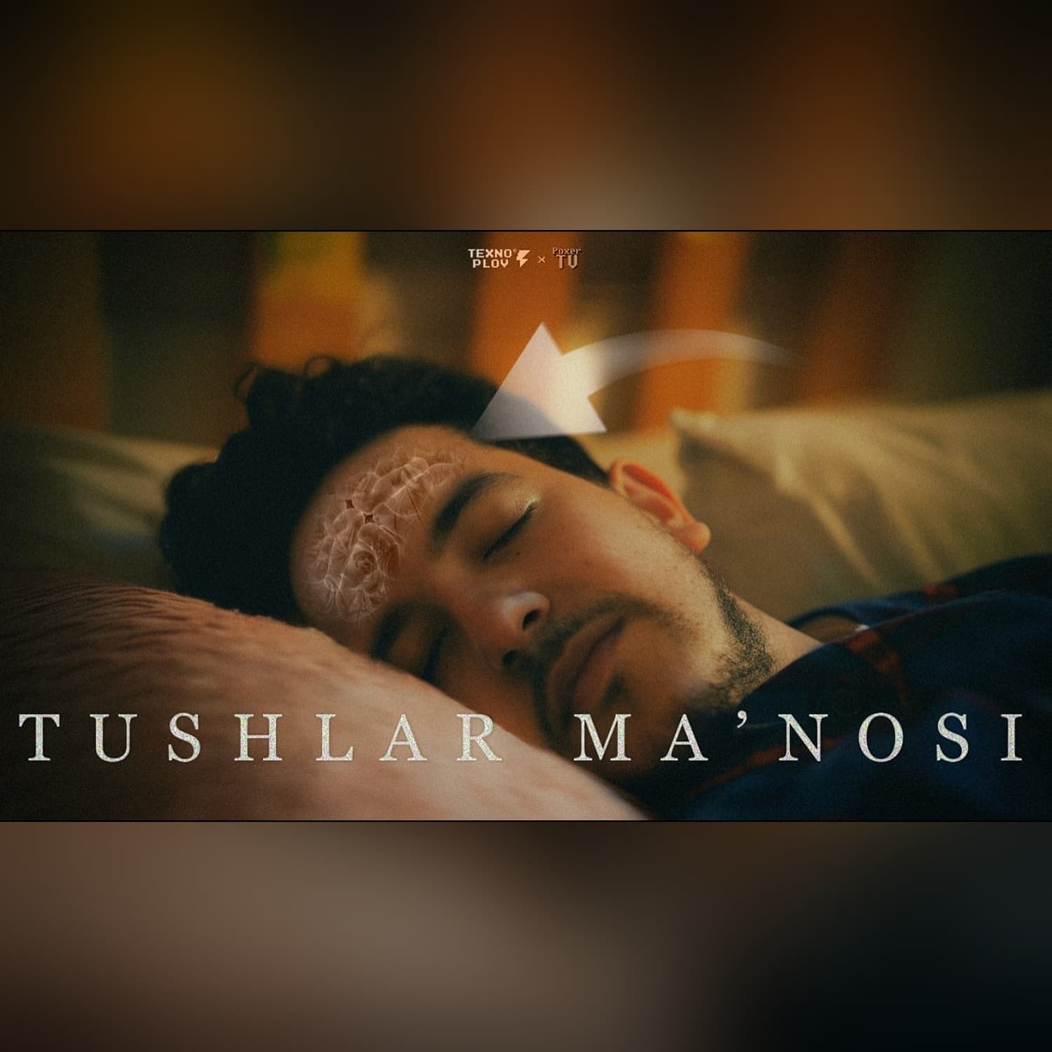 Nega TUSH Ko'ramiz? [TEXNOPLOV]