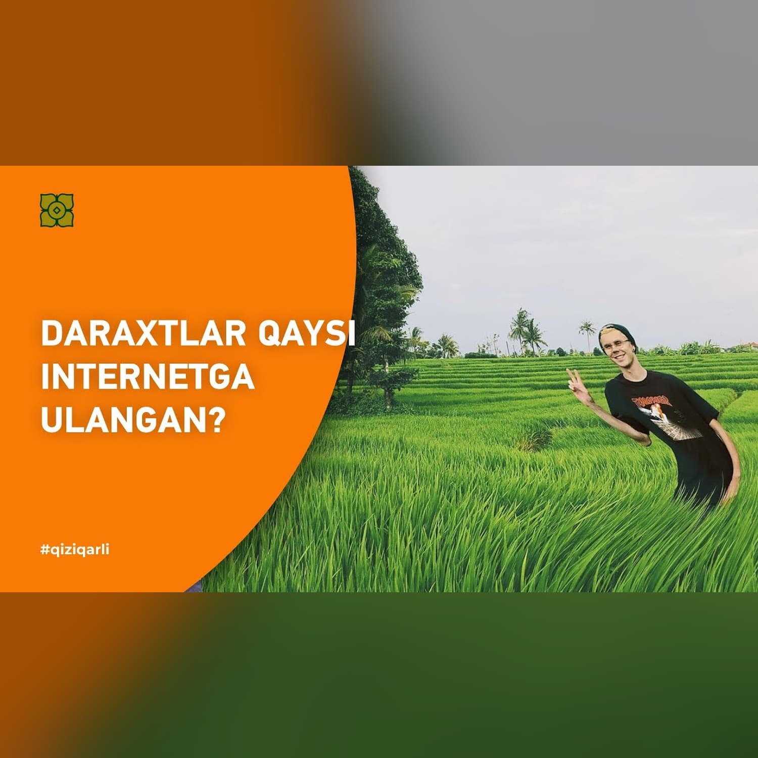 Daraxtlar qaysi internetga ulangan? @Xurmomedia x @toplesofficial