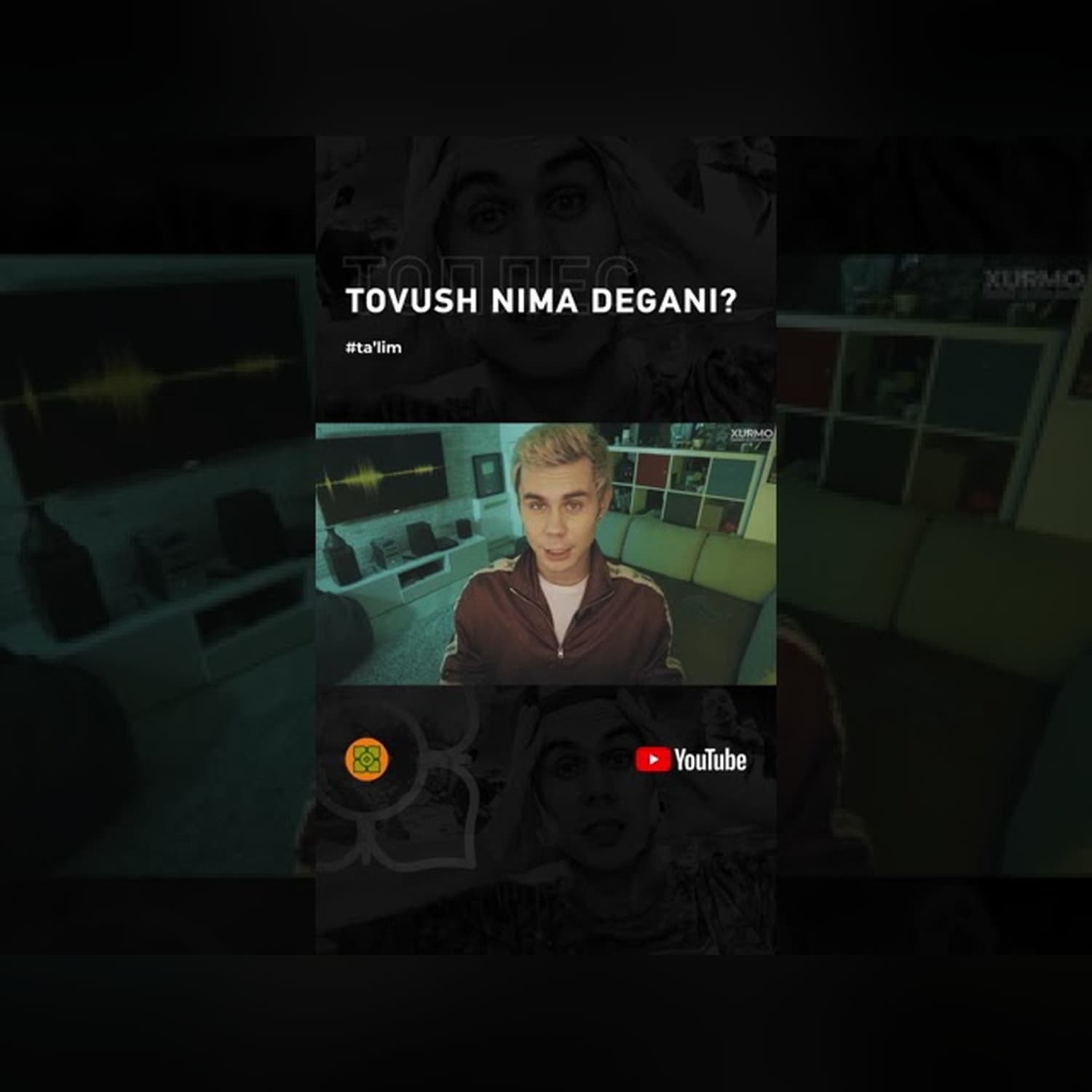 Tovush nima degani?