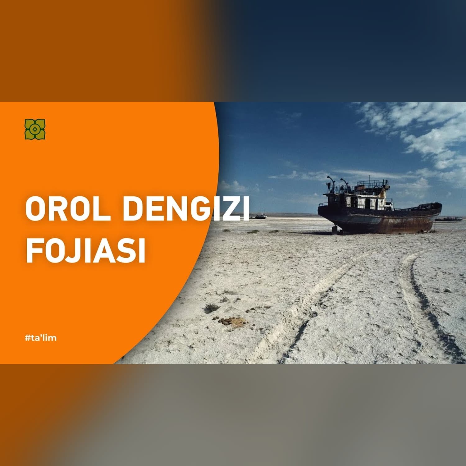 Orol dengizi fojiasi. Orol: oʻlimdan keyin hayot mavjudmi? Ekologiya. | XURMO [Все как у зверей]