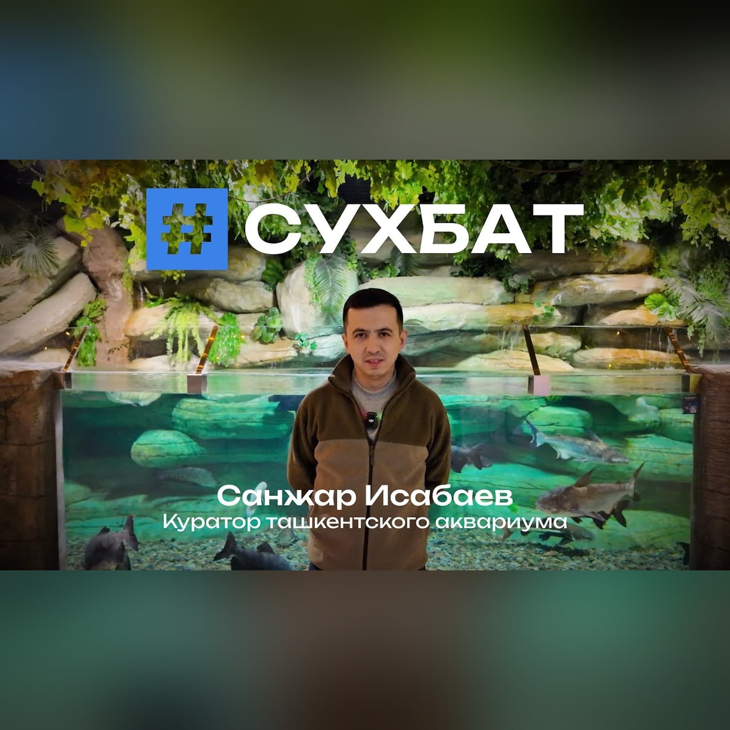 Сухбат: Санжар Исабаев и подводный мир Ташкента, в тысячах километров от океана