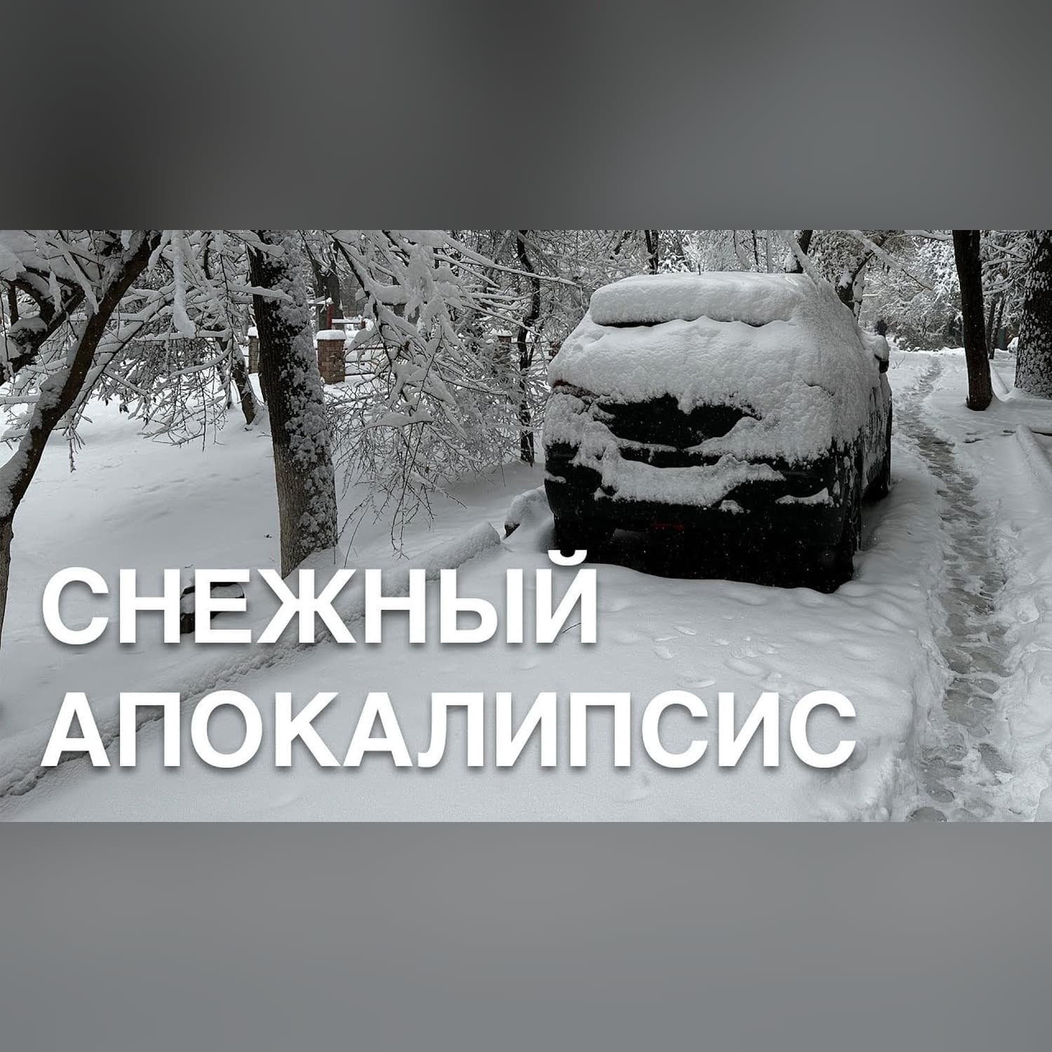 "Все городские службы в повышенной готовности" снегопад в Ташкенте