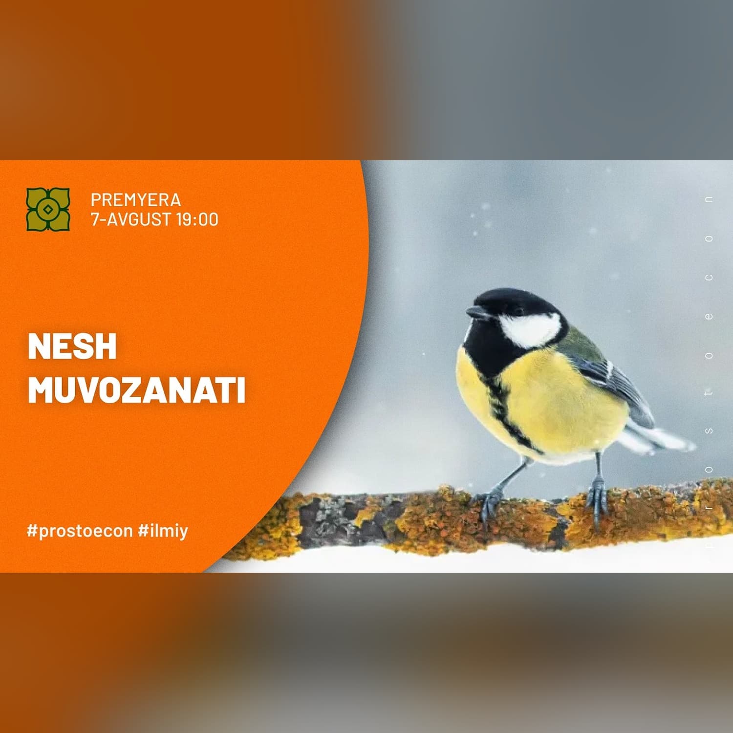 Chittakka Qarshi Turna. Nesh Muvozanati | @@prostoecon x @Xurmomedia
