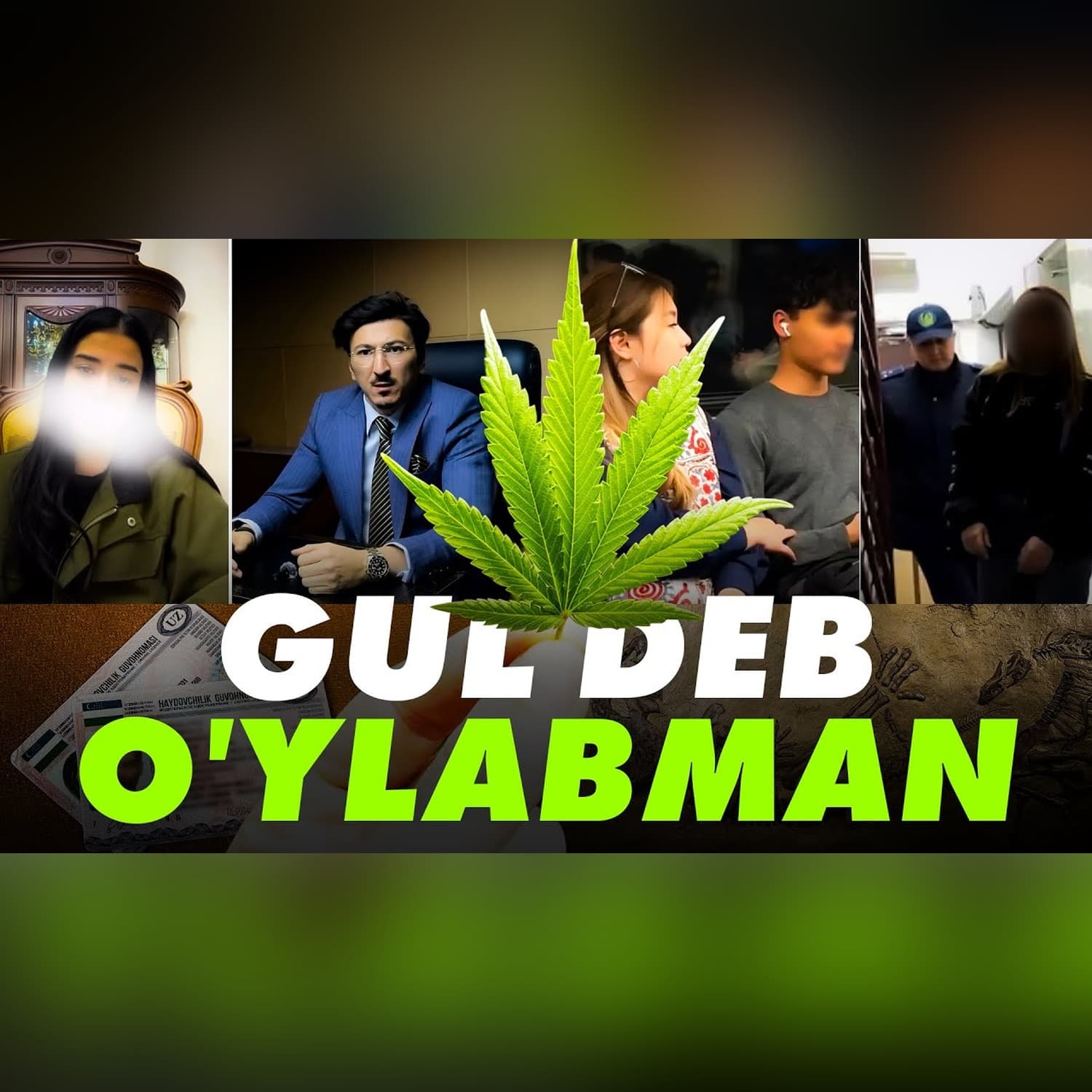 Kannabis yetishtirgan ayol, Nukusdan topilgan dinozavr suyagi - Haftalik dayjest | Plossla